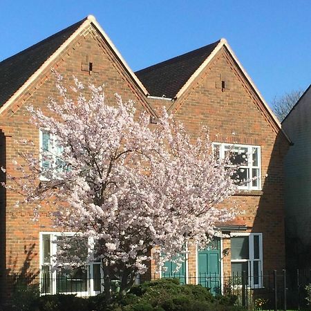 3 Summertown Court Oxford Buitenkant foto