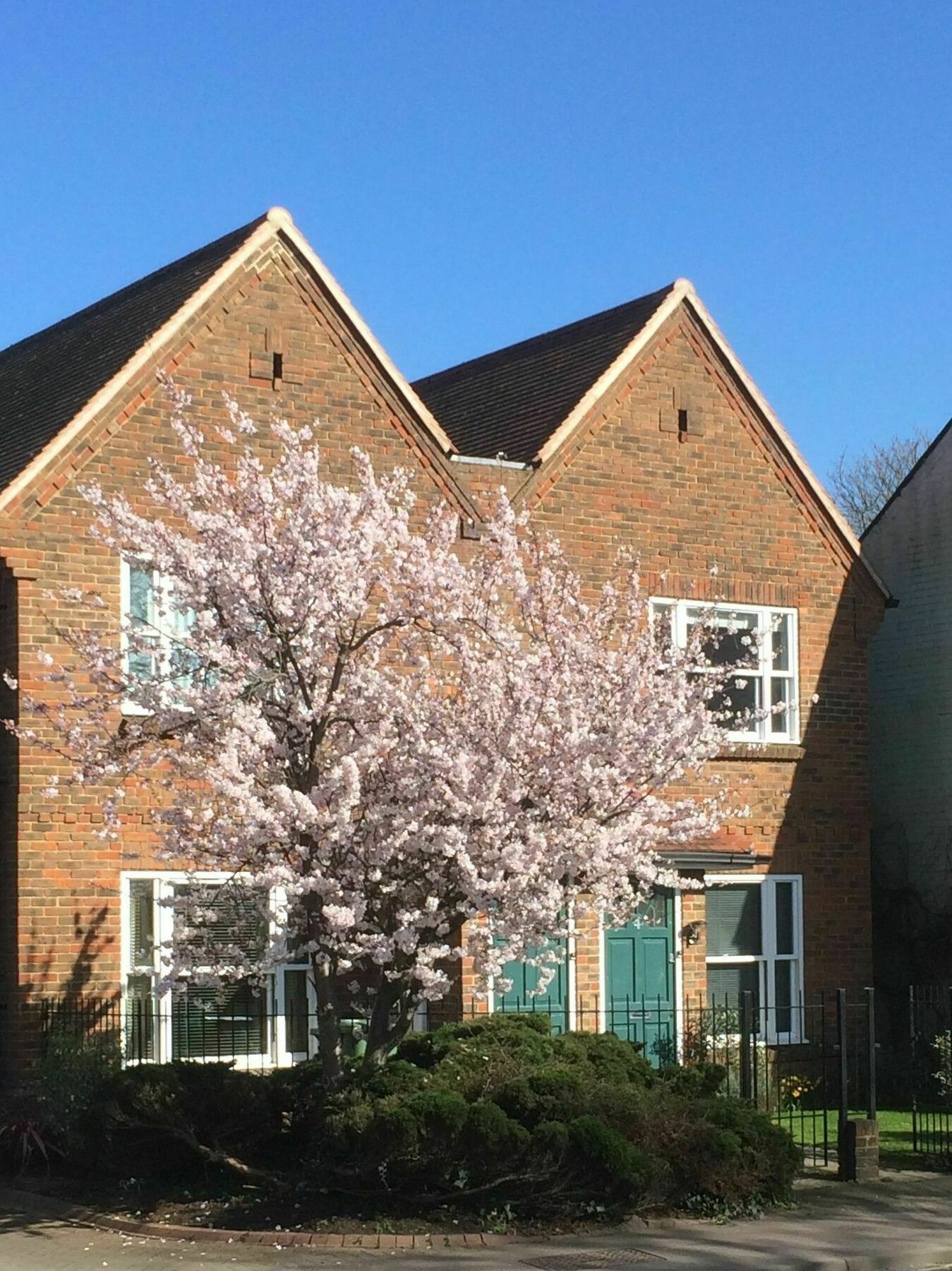 3 Summertown Court Oxford Buitenkant foto